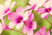 ​后悔的语录经典语录 宝宝语录经典语录(精选78句)