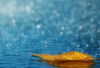 ​大军师司马懿经典语录 司马懿四句经典语录