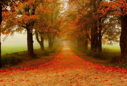 1708030544983018.png image.png