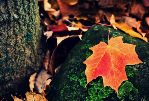 1708030711639968.png image.png