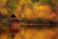 ​关于亲情的名人语录(精选71句)