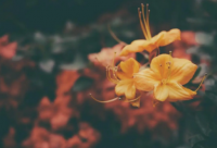 ​放松心情的语录 放松心情的情感语录(精选76句)