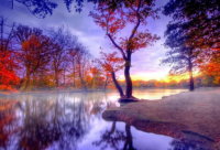 ​情场失意经典语录 失意的经典语录(精选96句)