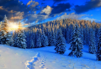 ​龙族经典语录爱情 龙族3经典语录爱情(精选77句)