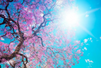 ​关于男人抽烟的经典语录 关于男人累的经典语录