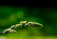 ​职场人生感悟励志语录(精选44句)