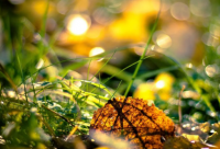 ​双城记经典语录(精选61句)