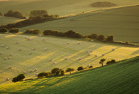 ​俞敏洪励志演讲语录：企业领袖的胸怀