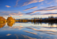 ​人生如茶的经典语录 人生如茶苦的经典语录