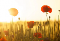 ​宫崎骏动漫励志语录