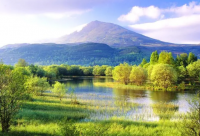 ​七堇年经典短句 七堇年语录大全(精选67句)