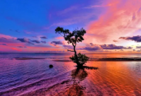 ​灵魂只能独行经典语录(精选87句)