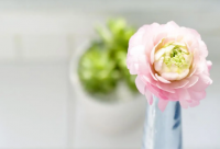 ​骂女人的经典语录 女人骂小三经典语录(精选87句)