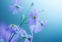 ​中考冲刺励志语 有关中考冲刺的励志语录(精选77句)