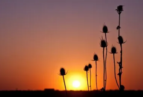 1708036034459235.png image.png