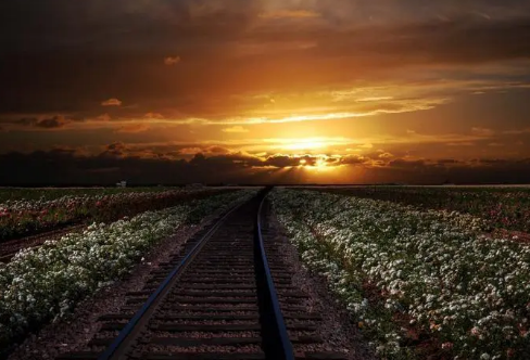 1708036201505365.png image.png