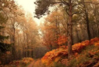 ​祝福高考成功的佳句简短超励志金句语录汇编