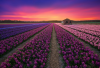 ​熬夜发朋友圈语录(精选76句)