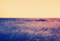 ​陪伴家人的经典语录(精选45句)