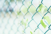 ​非主流文字 非主流文字语录(精选79句)