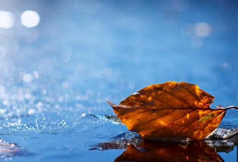 1708038697140145.png image.png