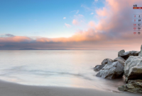 ​涂磊经典语录关于爱情(精选51句)