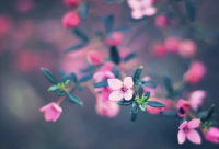 ​家庭和事业兼顾的语录 家庭事业两不误励志语录