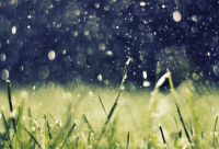 ​马云精彩语录