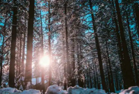 ​高考励志加油语录大全最新50句