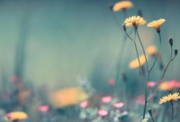 ​建党100周年对党的寄语 2024年关于党的语录