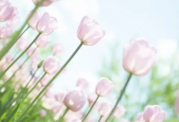 ​勇于攀登的励志语录 勇于创新的励志语录(精选75句)