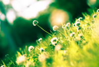 ​女人致自己的经典励志语录(精选57句)