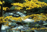 ​夫妻爱情幸福语录 夫妻爱情语录简短文案(精选75句)