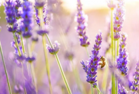 ​信心励志语录 信心十足的励志语录(精选76句)