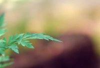 ​冲刺高考的励志语录 冲刺高考的励志语录大全