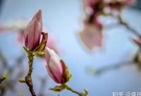 ​努力工作励志语录短句 努力工作的励志语录