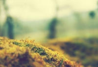 ​成熟男人的经典语录 成熟男人背后的心酸经典语录