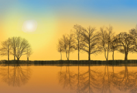 ​与责任与担当经典语录(精选79句)