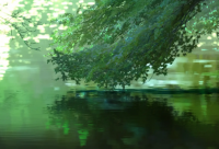 ​情人节心动浪漫温柔表白语录 怦然再心动(精选81句)