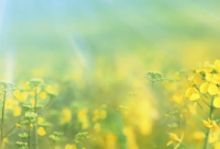 ​原配骂小三的经典语录(精选77句)