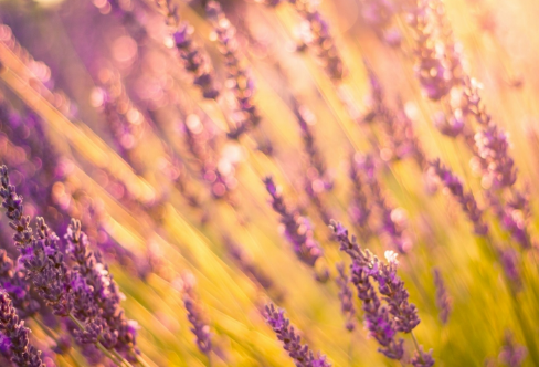 1708044853450714.png image.png