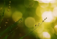 ​2024中考加油文案 2024中考加油励志语录