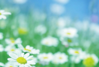 ​失败励志语录 遭遇失败的励志语录(精选77句)