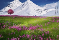 ​男人伤感语录 男人压力伤感语录(精选82句)