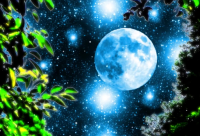 ​香水的经典语录 香水广告语经典语录(精选38句)