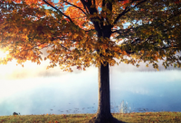 ​家人的情感 家人之间的情感语录(精选77句)