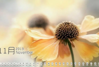 ​女生霸气经典语录(精选75句)