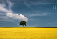 ​2024年理解和体谅的经典语录(精选57句)