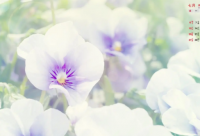 ​佛语经典语录 人生佛语经典语录(精选64句)