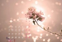 ​加菲猫经典语录配图 2024加菲猫经典语录